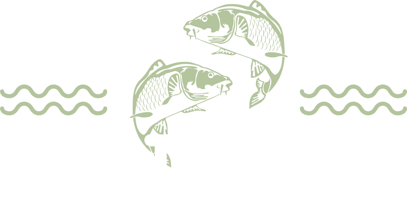 De Watergravin